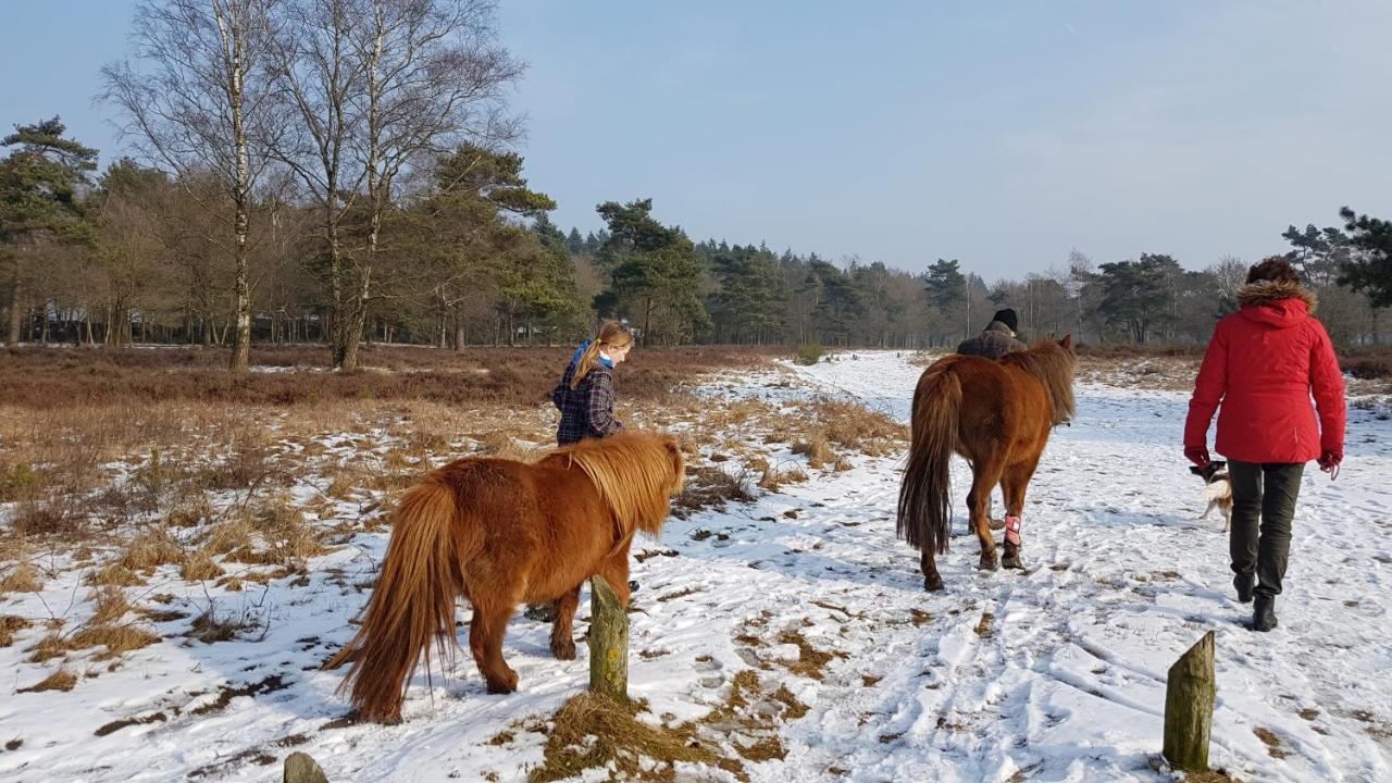 Op De Veluwe # Linde *