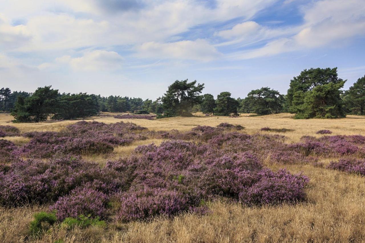 Op De Veluwe # Linde Chalet