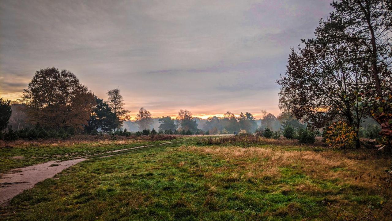 Op De Veluwe # Linde